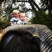 Amy Hutto's photo