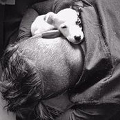 Pierre Ellivednav's photo