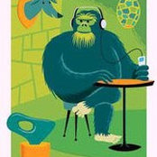 Photo de sasquatch