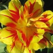 Kimberly Henne's photo