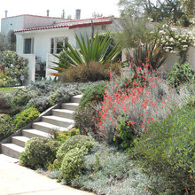Outdoor living