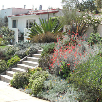LINNINGTON GARDEN