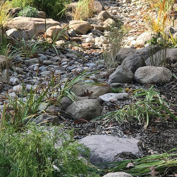A "River" Runs Through It