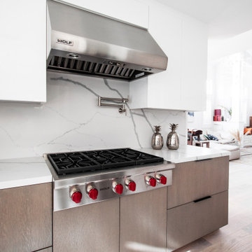 Two-Toned Contemporary Kitchen Renovation