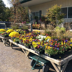 Inventory Samples - Gardening And Lawn Care