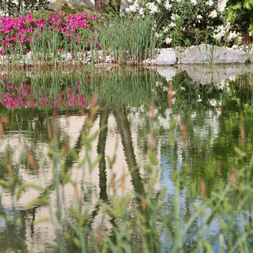 Schwimmteich