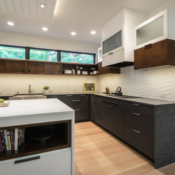 Minneapolis Whole Home Renovation