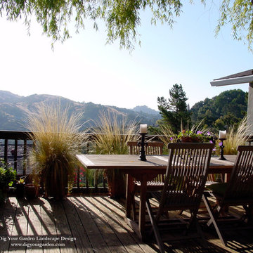 Hillside Landscape Sanctuary in Northern California