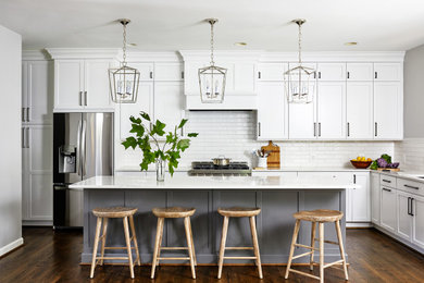 Inspiration for a transitional kitchen remodel in DC Metro