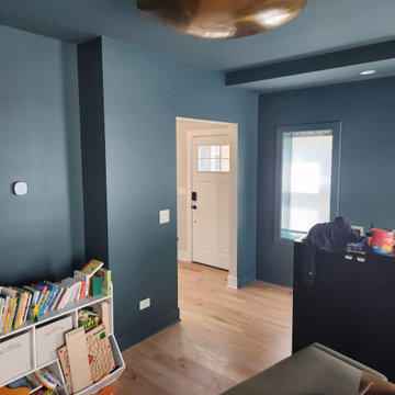 Lincoln Park Chicago. House painting
