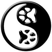 Lisa Wiltse's photo