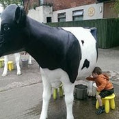 Chris Gregory's photo