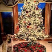 Wendy Drinkard-Wojtas's photo