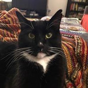 Diane Barnes's photo