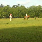 Foto de Devan N Haley
