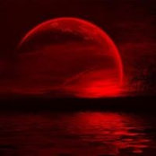 Imran Kazmi's photo