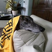 Glen Leif's photo