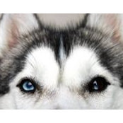 Tom Kun's photo