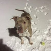 Kenneth Keelin's photo