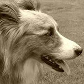 Kay Moreland's photo
