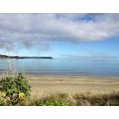 Penny Welsh's photo