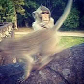 Mikolaj Zadecki's photo