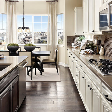 Delaney model home in Colorado