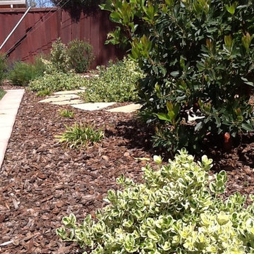 Complete Yard Remodel for a Young Family