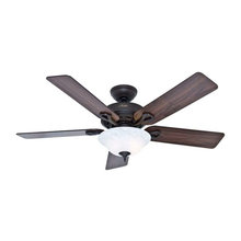 garden room fans