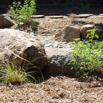 Ecological Courtyard
