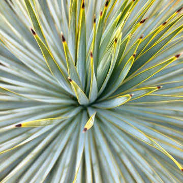 Arizona Artist Get-Away