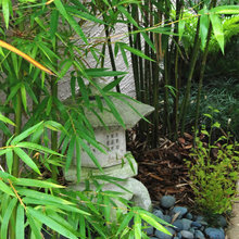 garden ideas