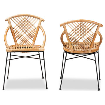 Merlyn Modern Rattan and Metal Dining Chairs, Set of 2