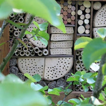 Garden Wildlife-Friendly