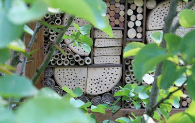 12 Ways to Create a Wildlife Haven in a Small Garden