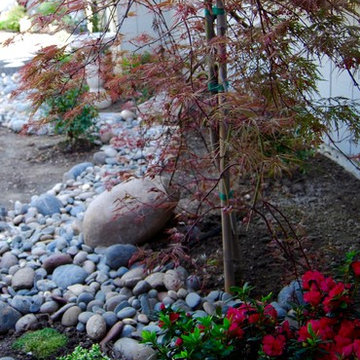 Low Water Beds & Rock Styles