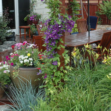 outdoor plantings