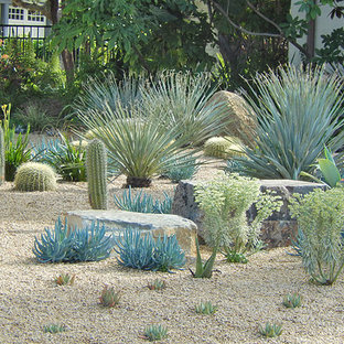 75 Beautiful Drought-Tolerant Front Yard Landscaping Pictures & Ideas ...