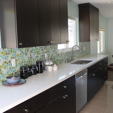 Culver city midcentury kitchen