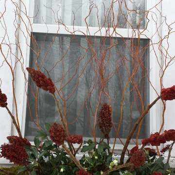 Flowers in January