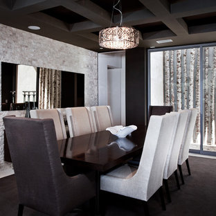 Coffered Ceiling Contemporary Houzz