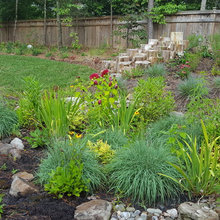 bioswales