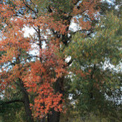Morina Peterson's photo