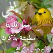 Samah Said's photo