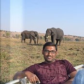 Uva Raja's photo