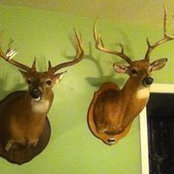 Bryan Jenkins's photo