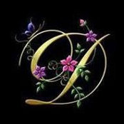 D Van Buerle's photo