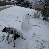 Lisa Arnold's photo