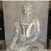 DiscoAudra Roth's photo