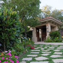 backyard design